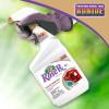imageBonide Captain Jacks Rose Rx 4in1 Insect ampamp Disease Control 32 oz ReadytoUse Spray Neem Oil for Organic Gardening