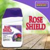 imageBonide Rose Shield Spray 16 oz Concentrate Insect and Disease Protection for Roses Flowers and Ornamentals1 Count Pack of 2