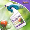 imageBonide RotStop Tomato Blossom End Rot 32 oz ReadytoUse Spray Garden Fertilizer for Calcium Deficiency in PlantsEnd Rot