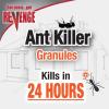 imageREVENGE Ant Killer Granules 15 lb ReadytoUse Fast Acting Perimeter Treatment for Home Kills Ants Fleas ampamp RoachesGranules