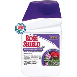 imageBonide Rose Shield Spray 16 oz Concentrate Insect and Disease Protection for Roses Flowers and Ornamentals1 Count Pack of 1