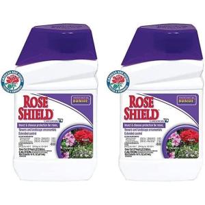 imageBonide Rose Shield Spray 16 oz Concentrate Insect and Disease Protection for Roses Flowers and Ornamentals1 Count Pack of 2