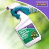 imageBonide 1 Quart Chickweed Clover and Oxalis Weed Killer  0612ReadyToUse