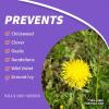 imageBonide 1 Quart Chickweed Clover and Oxalis Weed Killer  0612ReadyToUse