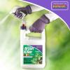 imageBonide 332 Herbicide Poison Ivy ampamp Brush Killer Bk32 Concentrate 128 oz128 oz