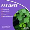 imageBonide 332 Herbicide Poison Ivy ampamp Brush Killer Bk32 Concentrate 128 oz32 oz