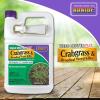 imageBonide BND065  Ready to Use Weed Beater Plus Crabgrass and Broadleaf Weed Killer 32 ozReadyToUse