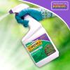 imageBonide BND065  Ready to Use Weed Beater Plus Crabgrass and Broadleaf Weed Killer 32 ozReadyToUse