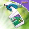 imageBonide BND307  Weed Beater Ultra Ready to Use Weed Killer 32 oz32 Fl Oz Pack of 1