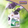 imageBonide Captain Jacks Deadweed Brew 128 oz ReadytoUse with Attached Power Sprayer Controls All Types of Weeds and Grasses For Organic Gardening