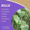 imageBonide Captain Jacks Lawnweed Brew 128 oz ReadytoUse Spray FastActing Formula Controls Weeds Moss Algae Lichens ampamp DiseaseReadyToUse