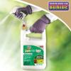 imageBonide Captain Jacks Lawnweed Brew 128 oz ReadytoUse Spray FastActing Formula Controls Weeds Moss Algae Lichens ampamp DiseaseReadyToUse