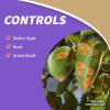 imageBonide Captain Jacks Lawnweed Brew 128 oz ReadytoUse Spray FastActing Formula Controls Weeds Moss Algae Lichens ampamp DiseaseReadyToUse