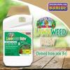 imageBonide Captain Jacks Lawnweed Brew 32 oz Concentrate FastActing Formula Controls Weeds Moss Algae Lichens ampamp Disease32 Fl Oz Pack of 1