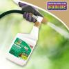 imageBonide Captain Jacks Lawnweed Brew 32 oz ReadytoSpray FastActing Formula Controls Weeds Moss Algae Lichens ampamp Disease