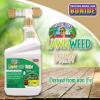 imageBonide Captain Jacks Lawnweed Brew 32 oz ReadytoSpray FastActing Formula Controls Weeds Moss Algae Lichens ampamp Disease