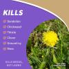 imageBonide Captain Jacks Lawnweed Brew 32 oz ReadytoSpray FastActing Formula Controls Weeds Moss Algae Lichens ampamp Disease