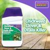 imageBonide Chickweed Clover and Oxalis Killer 16 oz Concentrate Controls Weeds and Roots without Harming Lawn