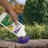 imageBonide DuraTurf 29 oz Total Lawn Weed Control Concentrate Kills and Prevents Weeds