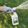 imageBonide DuraTurf 29 oz Total Lawn Weed Control ReadytoSpray Kills and Prevents Weeds