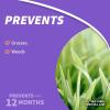 imageBonide Ground Force Vegetation Killer 25 Gallon Concentrate Provides Year Long Protection Against Weeds Grasses ampamp RootsConcentrate