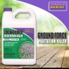 imageBonide Ground Force Vegetation Killer 25 Gallon Concentrate Provides Year Long Protection Against Weeds Grasses ampamp RootsConcentrate