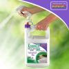 imageBonide KleenUP 365 Weed ampamp Grass Killer 1 Gallon ReadytoUse Spray Long Lasting Protection Use on Driveways Patios ampamp SidewalksReadyToUse