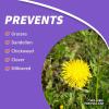 imageBonide KleenUP Weed ampamp Grass Killer High Efficiency Formula 128 oz Concentrate FastActing Formula Kills Weeds ampamp RootsConcentrate