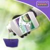 imageBonide KleenUP Weed ampamp Grass Killer High Efficiency Formula 16 oz Concentrate Fast Acting Formula Kills Weeds ampamp Roots16 Fl Oz Pack of 1
