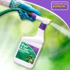 imageBonide Liquid Weed ampamp Feed 2000 32 oz ReadytoSpray Weed Control and Fertilizer for Outdoor Lawn ampamp Garden Use