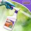 imageBonide Mosquito Beater 32 oz ReadytoSpray Insect Repellent Kills Mosquitoes Flies and Ticks Long Lasting Control Outdoors