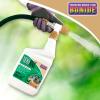 imageBonide MossMax 32 oz ReadytoSpray Control for Algae Moss and Lichens Outdoor Home and Garden Use Nonstaining Formula