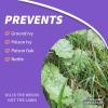 imageBonide Poison Oak ampamp Ivy Killer 32 oz ReadytoUse Spray for Home Gardening FastActing Formula Kills the Roots