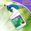 imageBonide Poison Oak ampamp Ivy Killer 32 oz ReadytoUse Spray for Home Gardening FastActing Formula Kills the Roots