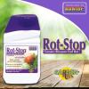 imageBonide RotStop Tomato Blossom End Rot 16 oz Concentrated Liquid Garden Fertilizer for Calcium Deficiency Indoors ampamp Outdoors