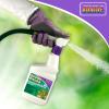 imageBonide Sedge Ender 16 oz ReadytoSpray Weed Killer For Outdoors FastActing and Rainproof Lawn Friendly Formula