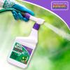 imageBonide Weed Beater Ultra 32 oz ReadytoSpray FastActing Protection Against Broadleaf Weeds in Warm ampamp Cool Weather