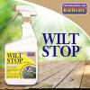 imageBonide Wilt Stop 40 oz ReadytoUse Spray AntiTranspirant Plant Protector Long Lasting Effects Extend the Life of Plants40 oz