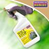 imageBonide Wilt Stop 40 oz ReadytoUse Spray AntiTranspirant Plant Protector Long Lasting Effects Extend the Life of Plants40 oz