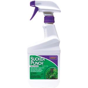 imageBonide Sucker Punch 16 oz ReadytoUse Spray Control Unwanted Plant Sprouts Plant Growth Regulator for Home Garden