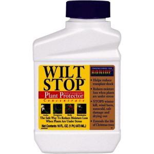 imageBonide Wilt Stop 40 oz ReadytoUse Spray AntiTranspirant Plant Protector Long Lasting Effects Extend the Life of Plants16 oz