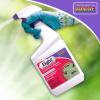 imageBonide 428 Eight Insect Control Garden ampamp Home Outdoor Insecticide Kills Beetles Ants Aphids 32 oz Read  Quantity 1ReadyToUse