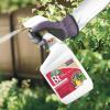 imageBonide 8066 Captain Jacks Bacillus Thuringiensis BT Organic Worm ampamp Caterpillar Control 32 oz ReadytoUs  Quantity 1