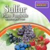 imageBonide BND141  Sulfur Plant Fungicide Organically Controls Rust Leaf Spot and Powdery Mildew 1 lb ReadytoUse