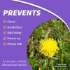 imageBonide BND3082  Weed Beater Ultra Ready to Use Weed Killer 1 gal