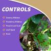 imageBonide Captain Jacks Copper Fungicide 32 oz ReadytoSpray Disease Control Solution for Organic Gardening Controls Leaf CurlReadyToSpray