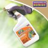 imageBonide Captain Jacks Copper Fungicide 32 oz ReadytoUse Spray for Organic Gardening Controls Common DiseasesPack of 2