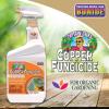 imageBonide Captain Jacks Copper Fungicide 32 oz ReadytoUse Spray for Organic Gardening Controls Common DiseasesPack of 2