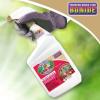 imageBonide Captain Jacks Deadbug Brew ReadytoUse Spray 32 oz Outdoor Insecticide and Mite Killer for Organic Gardening