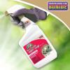 imageBonide Captain Jacks Insecticidal Super Soap 32 oz ReadytoUse Spray For Organic Gardening and Outdoor PlantsSoap